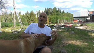 Dug Moments #9 Attacking me again... Outtakes June, 2015