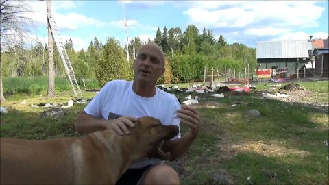 Dug Moments #9 Attacking me again... Outtakes June, 2015