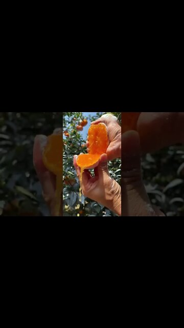 #shorts #2022 funny,prank,funjokes,dad jokes,funny memes,funny video,fun,laughing,funny animal,knock