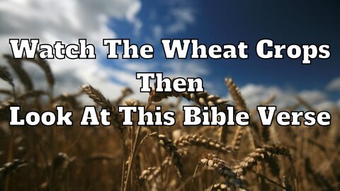 Watch The Wheat Crops Then Look At This Bible Verse