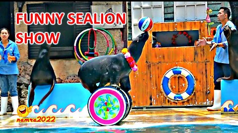 FUNNY SEALION SHOW