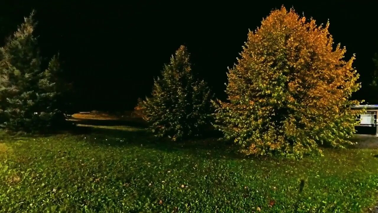 Low Light test ! Insta360 One X2 , Margret Bowater Park , Corner Brook , Newfoundland Canada