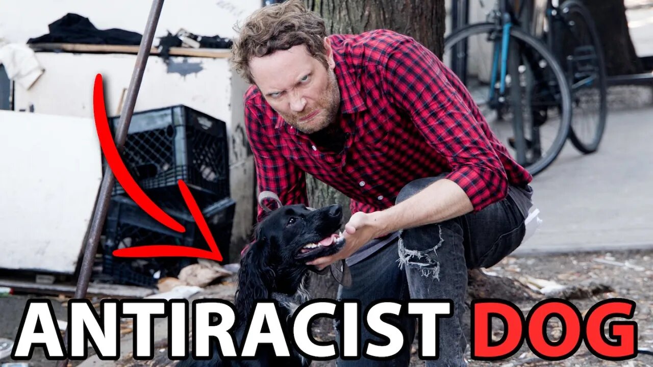 Racial Sensitivity Trainer for Dogs