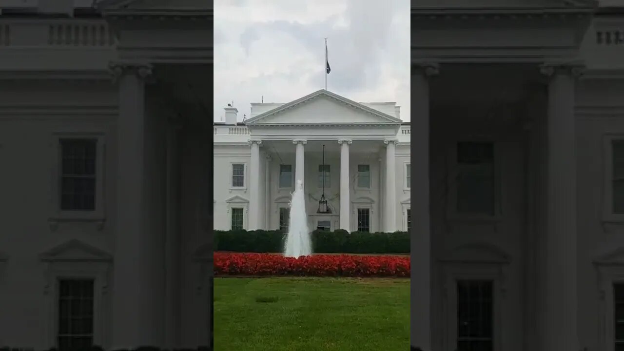 7/26/22 Nancy Drew-Video 2- WH Area Quiet Too- Front Door Open- Calm Before the T Storm Later Today?