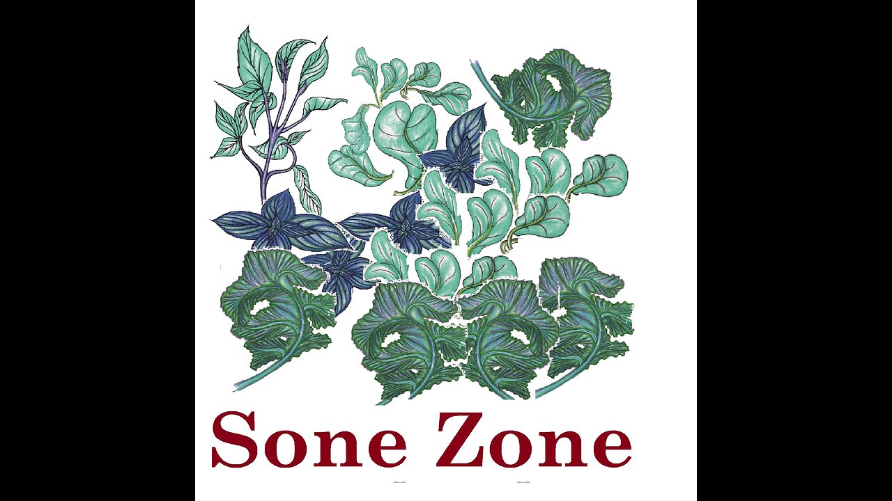 Sone Zone