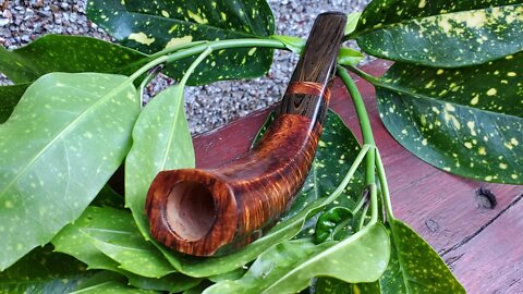 LCS Briars pipe 592 Horn