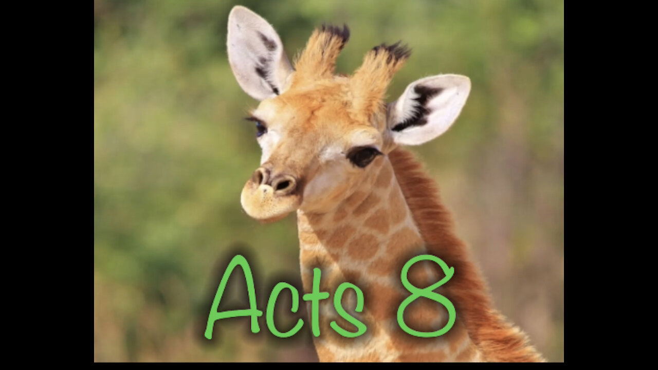 Read the Bible with me. Acts 8