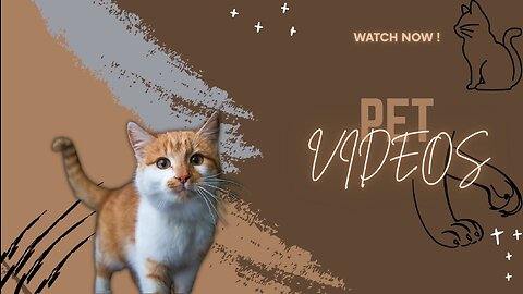 Cutest Pet Videos of the Year You Have to See.
