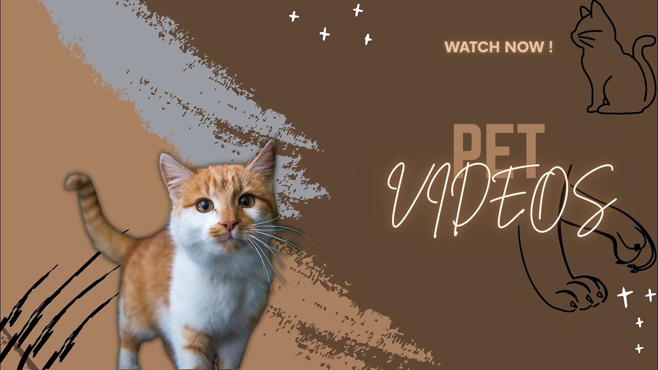 Cutest Pet Videos of the Year You Have to See.