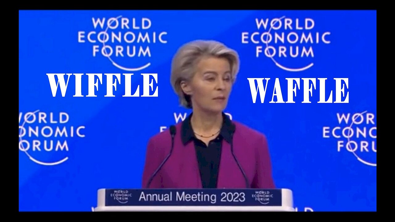 Ursula Wiffle Waffle World Economic Forum BORES / Hugo Talks