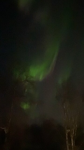 #alaska Northern lights