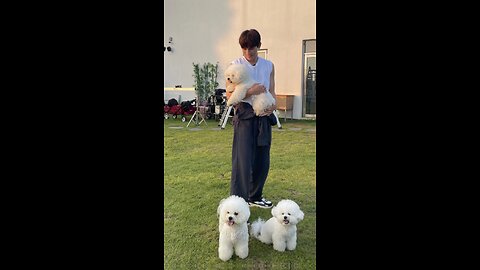 When you are a dog lover and an animal enthusiast