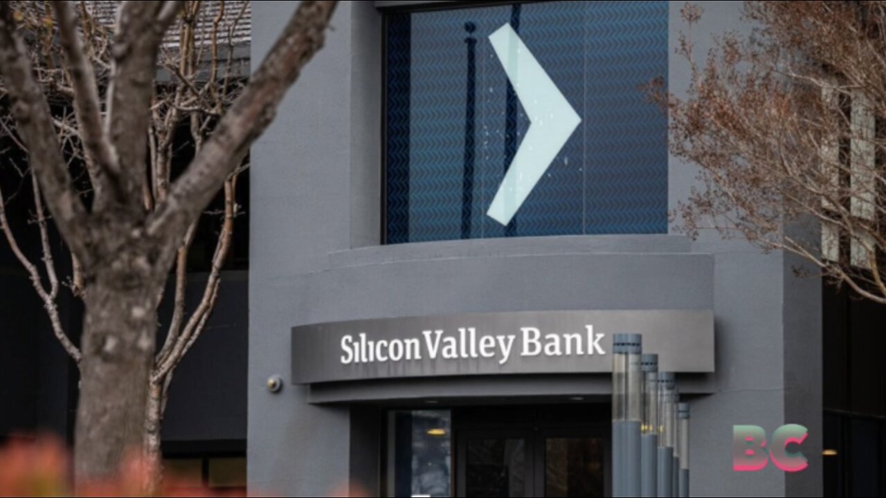 Silicon Valley Bank collapses after failing to raise capital