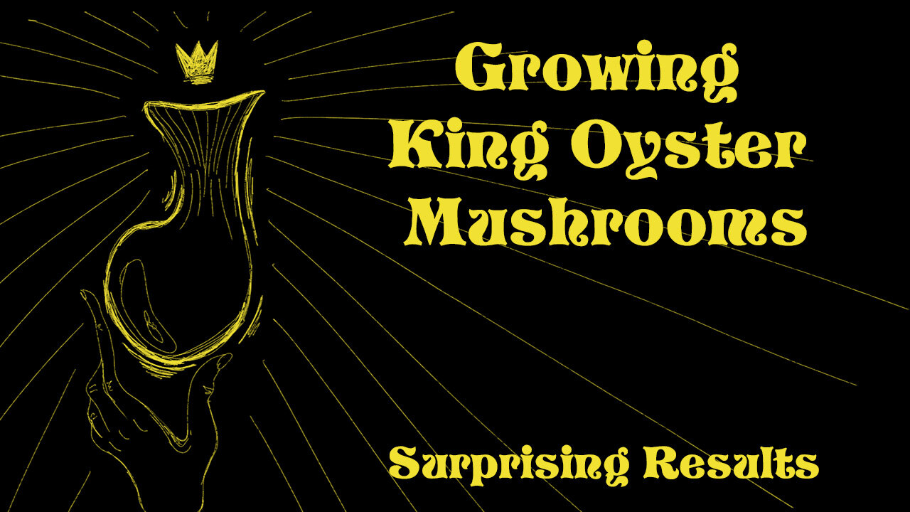 Growing King Oyster Mushrooms for the first time| Surprising results