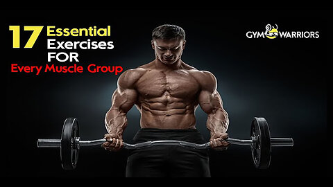 Essential Exercises For Every Muscle Group