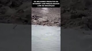 não morreu de sede 😱😱😱