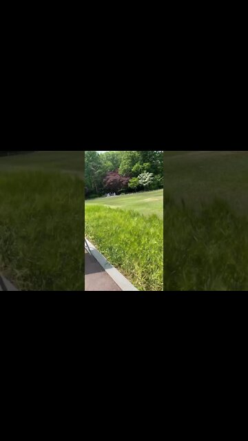 청와대 녹지원 윤석열