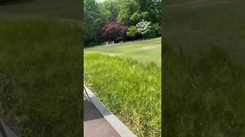 청와대 녹지원 윤석열