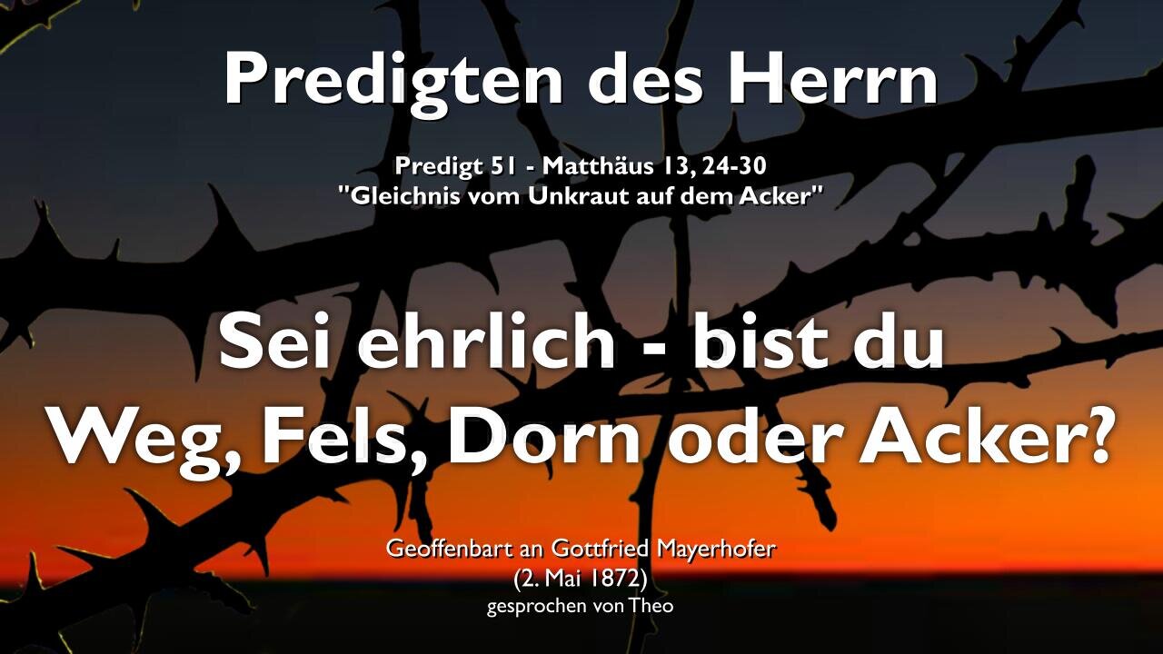 Sei ehrlich zu dir selbst... Bist du Weg, Fels, Dorn oder Acker? ❤️ Jesus erklärt Matthäus 13:24-30