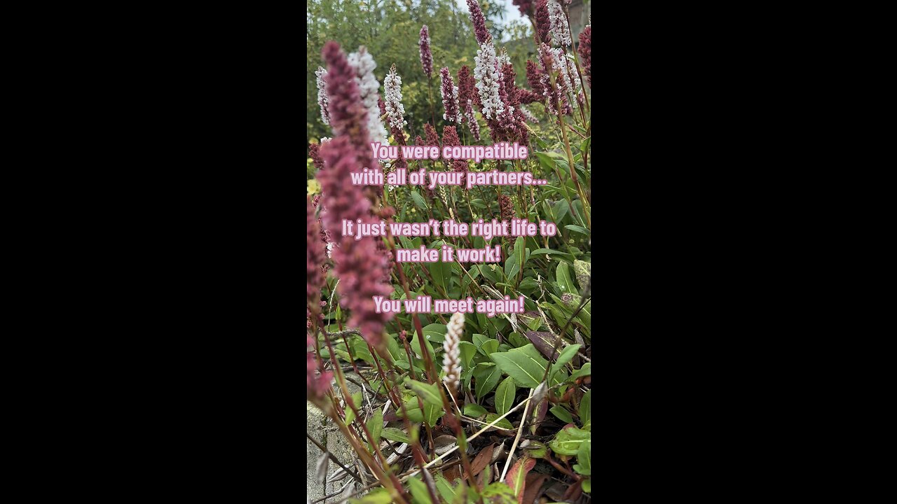 This will help you let go… #compatibility #wrongtime #badtiming #relationships #letgo #tarotary