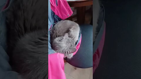 Why I can't use my coat 😔