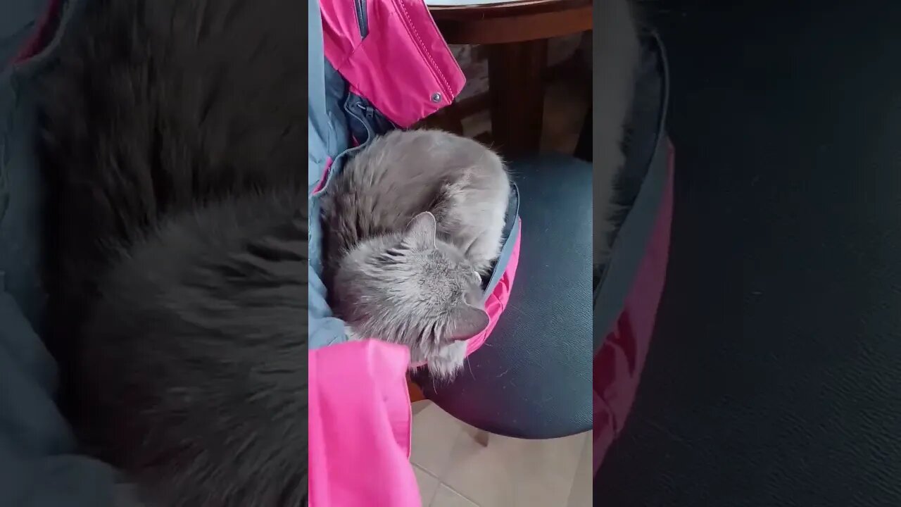 Why I can't use my coat 😔