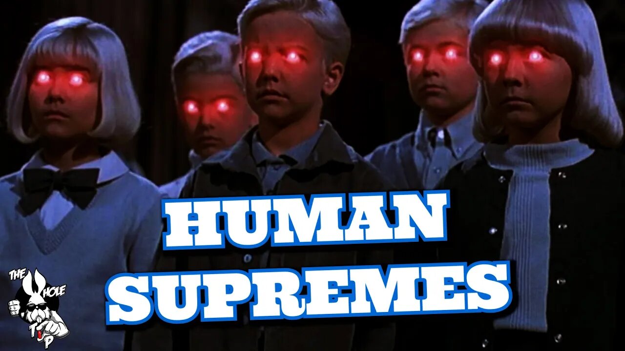 the Whole Tip Daily - HUMAN SUPREMES