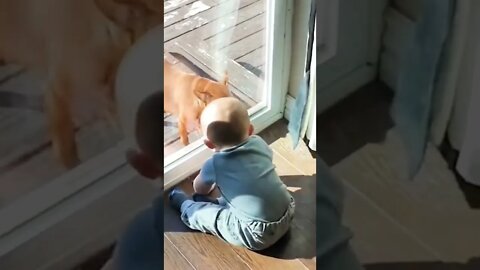 Baby boy play with dog#shorts #reels #dog