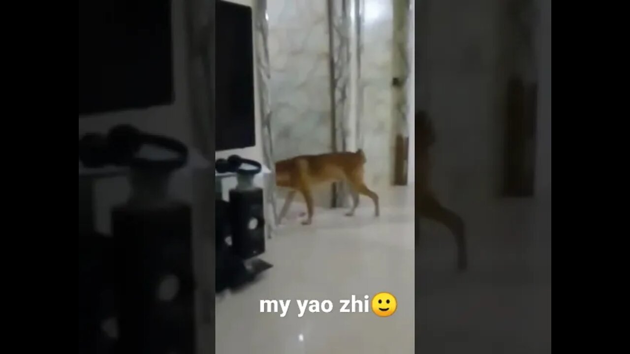 my yao zhi naughty hehe
