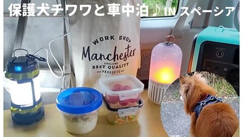虹V13 『初の車中泊 後編』保護犬チワワとスペーシアで初の車中泊♪ハプニング続出でご飯が食べられないかも(^▽^;)