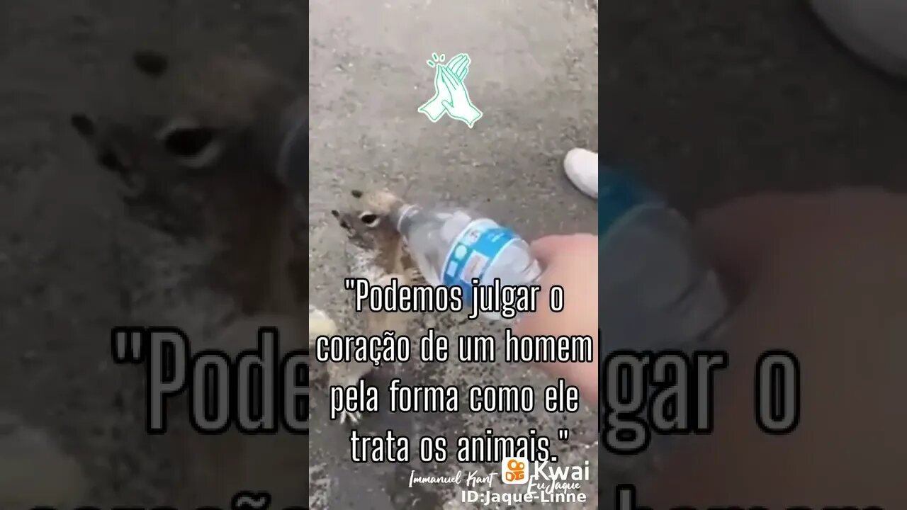 o esquilo está com muita sede da água ele #shorts