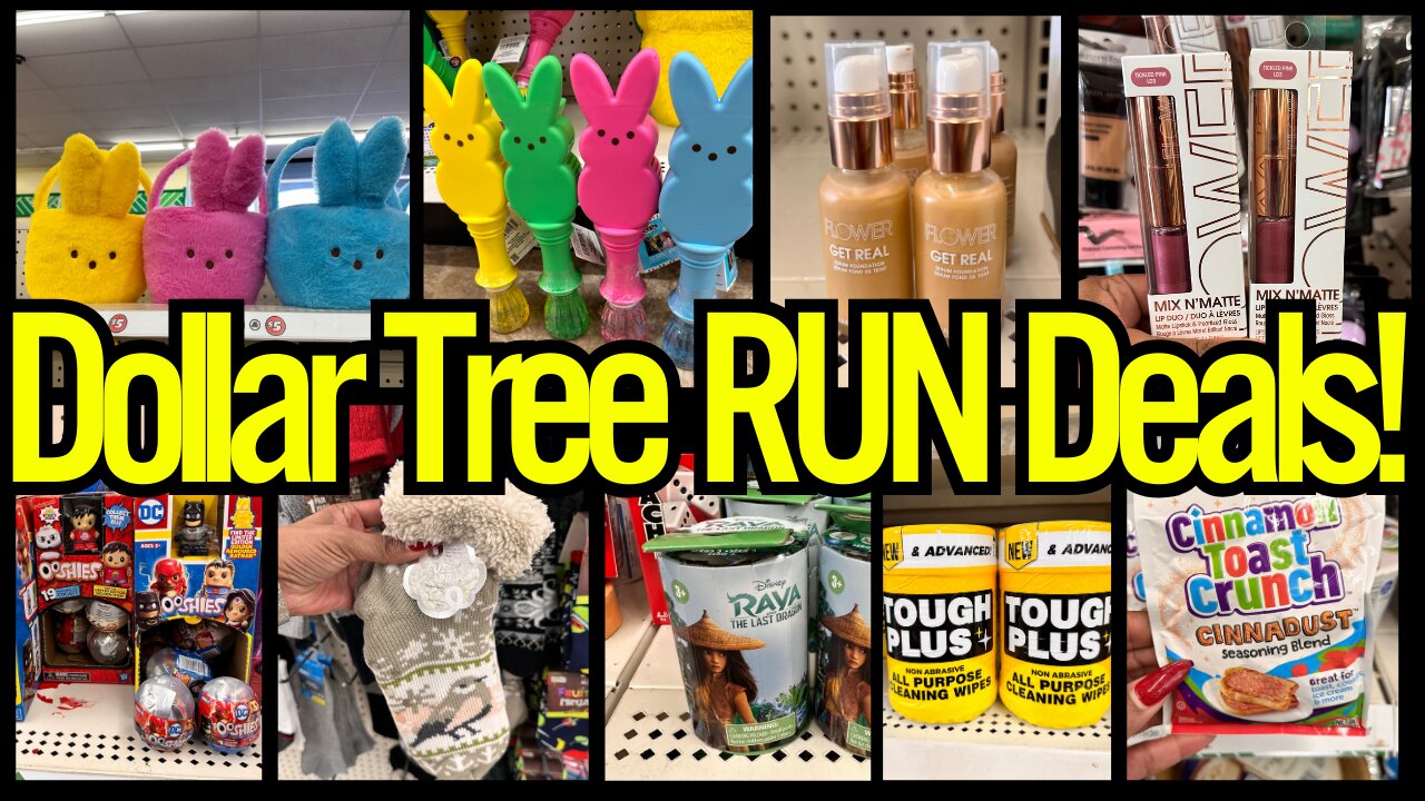 Dollar Tree Shop W/Me 2024๐๐ฝโโ๏ธ๐ฅRun to Dollar Tree๐๐ฝโโ๏ธ๐ฅNew Dollar Tree Finds #dollartree