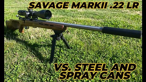 Savage Mark 2 .22 BTVS LR vs Steel and Spray Cans 100 Yard