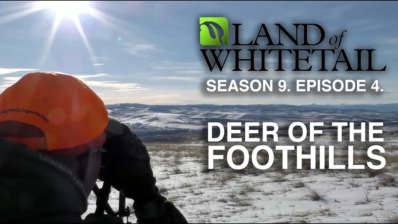 Deer of the Foothills | Land of Whitetail