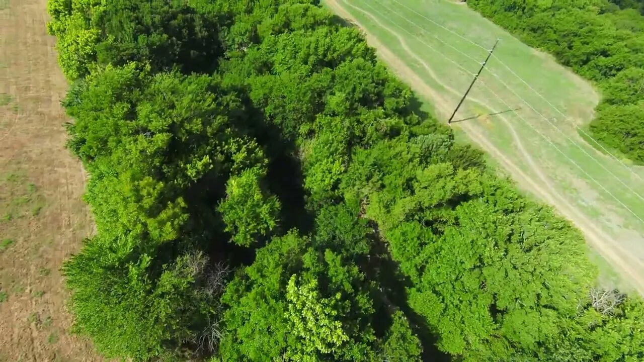 DJI FPV : EaglesAF [4K HD] (23JUL22.017)