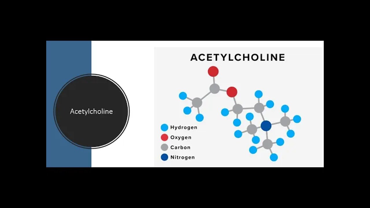 Acetylcholine - Know your neurotransmitter - Holistic healing