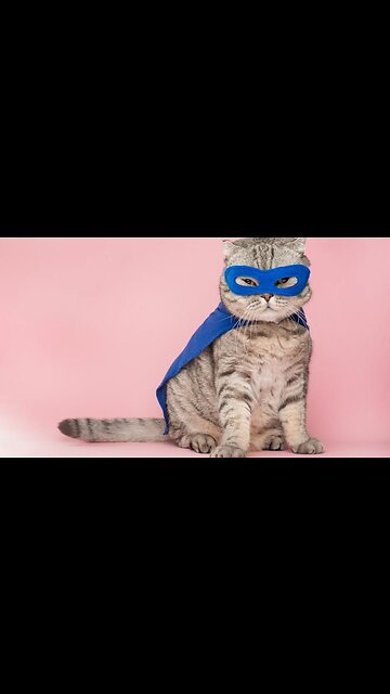 Most Funniest Animals - Best Cats😹 & Dogs🐶 Videos of 2023 Compilation! #21