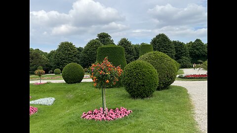 Exploring a garden. More Flora and Fauna.