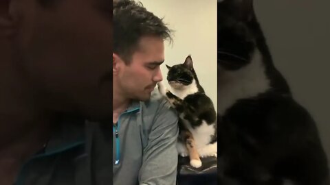 A sweet display of affection