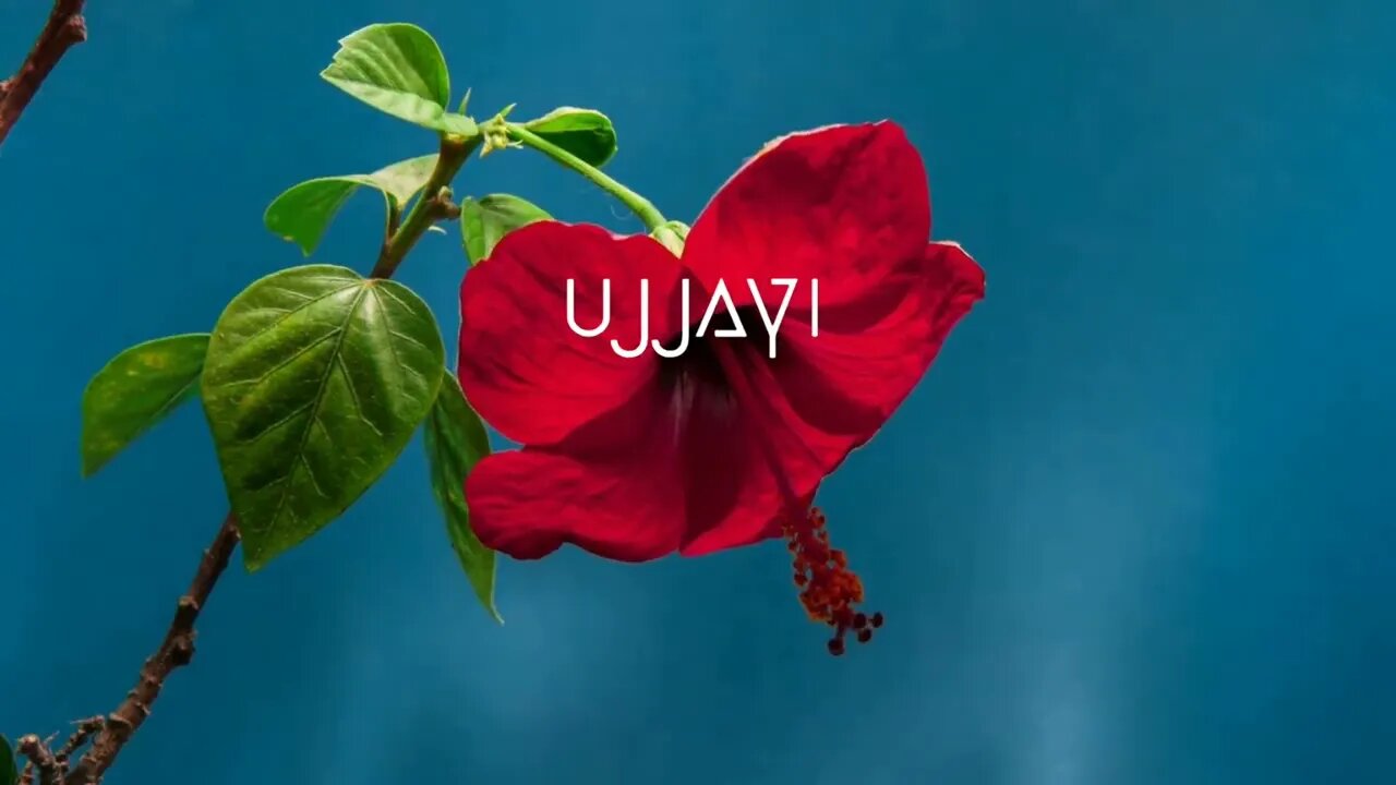 Tell your story or Live your story