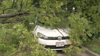 Washington Heights neighbors describe windstorm and damage to trees