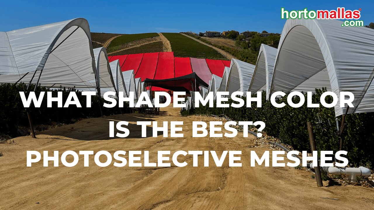 What shade mesh color is the best? photoselective meshes