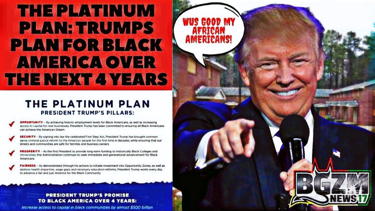 The Platinum Plan: Trumps Plan for Black America Over the Next 4 Years