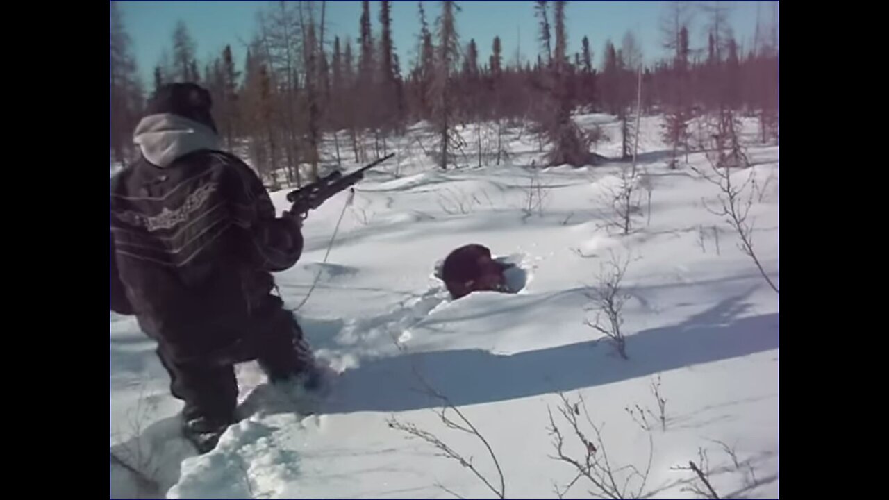 Trapping-Canada Wild North -Wolverine Hunt