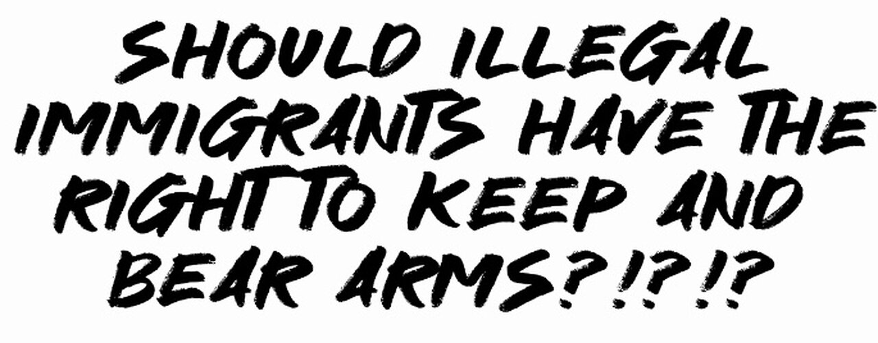 Should illegal immigrants have the right to keep and bear arms???