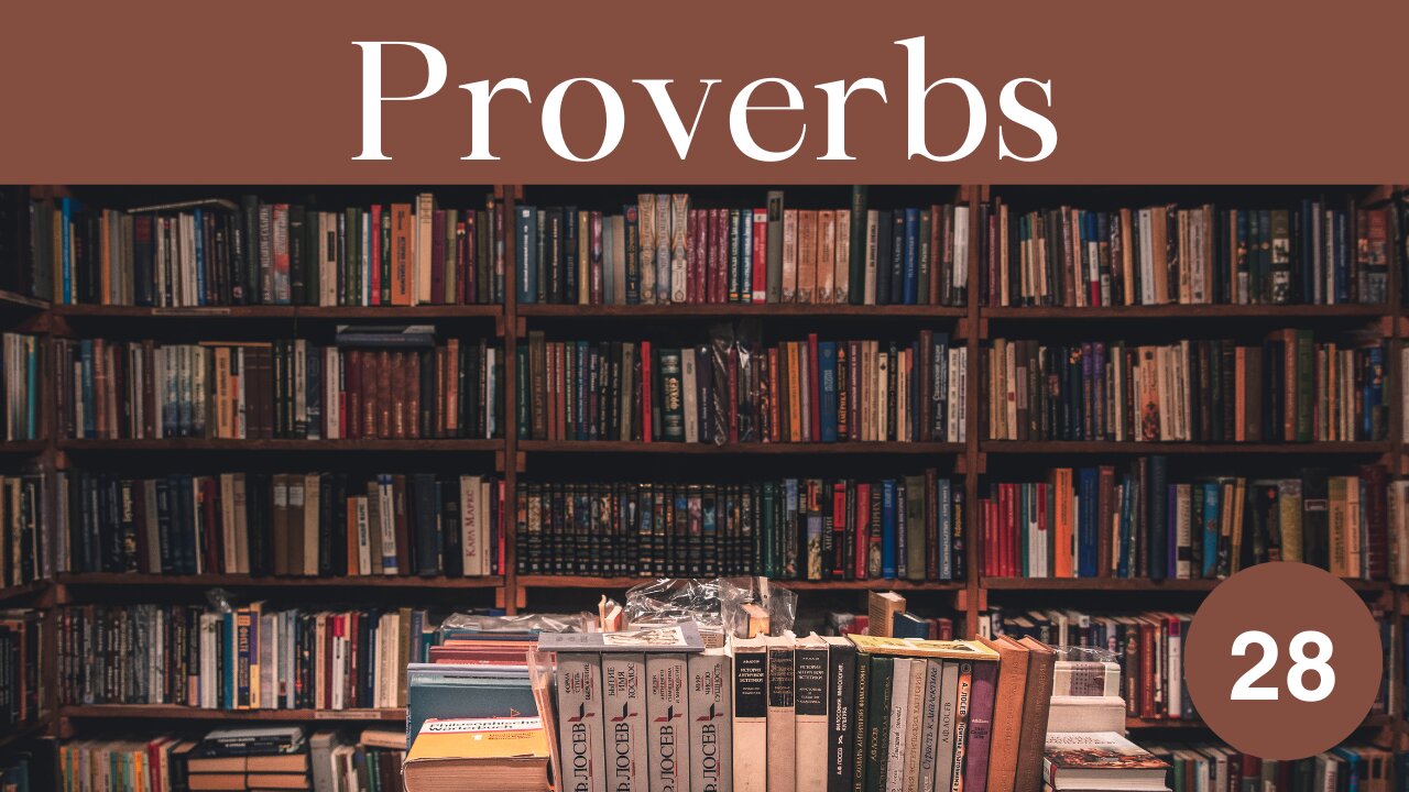 Proverbs 28 Bible Study