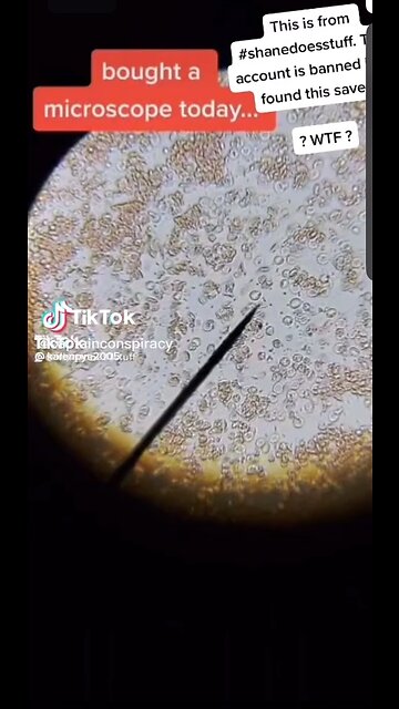 Unvaccinated vs vaccinated