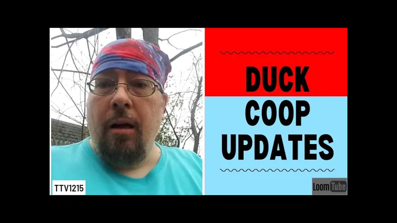 DUCK COOP UPDATES - 042021 TTV1215