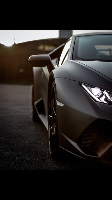 Cultivating Dreams: Nurturing Positivity Through Actions | 1DollarChannel