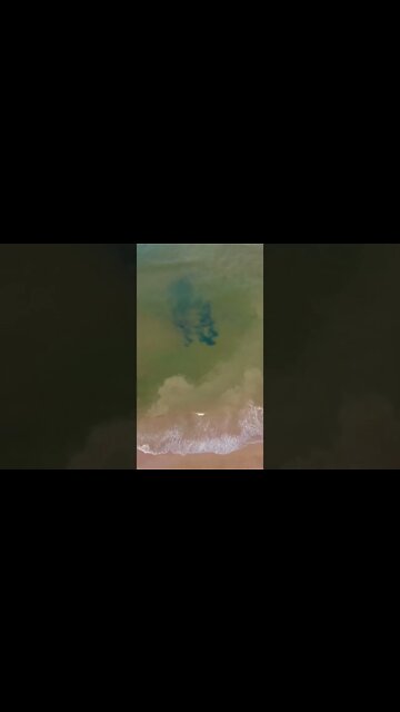 Water looking green from above